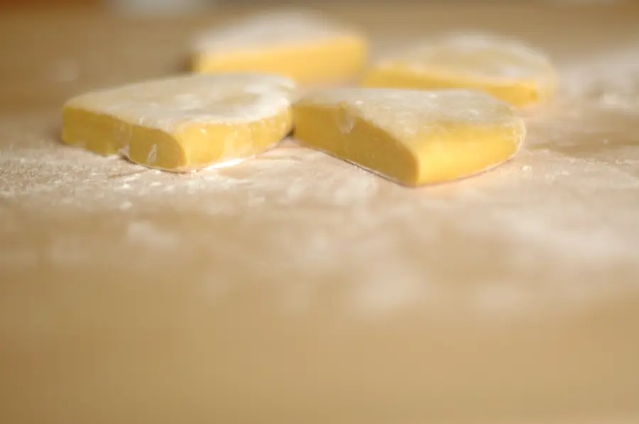 Lasagne fatte in casa bimby