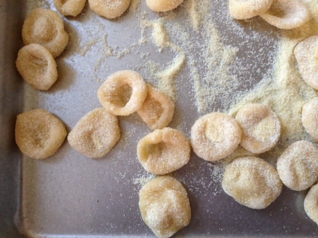 Orecchiette fatte in casa Bimby