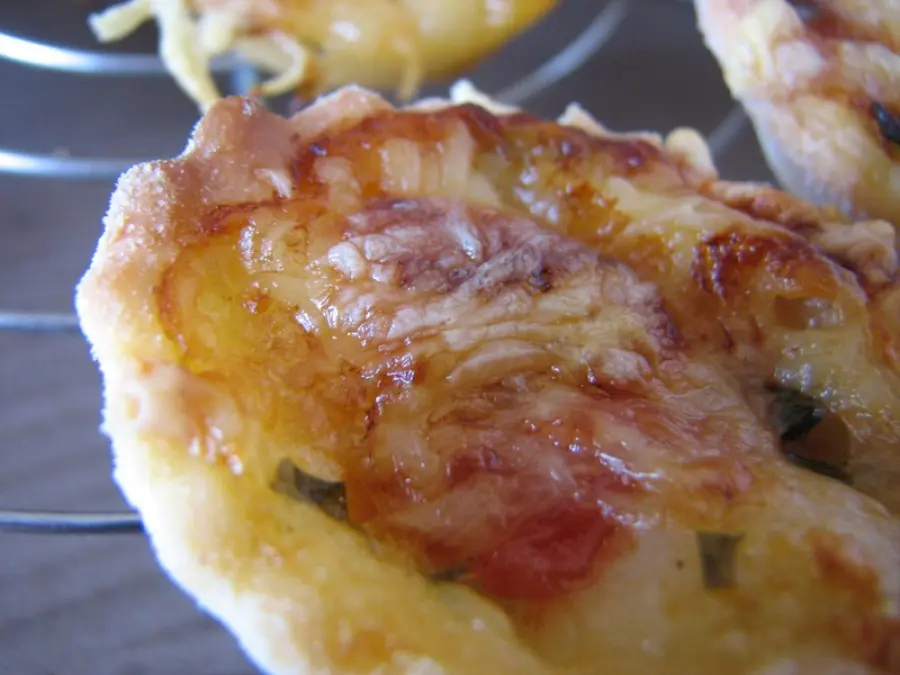 Miniquiche al salmone bimby