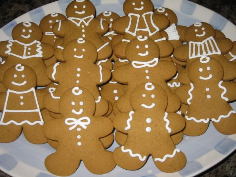 Pan di zenzero Biscotti allo zenzero Bimby