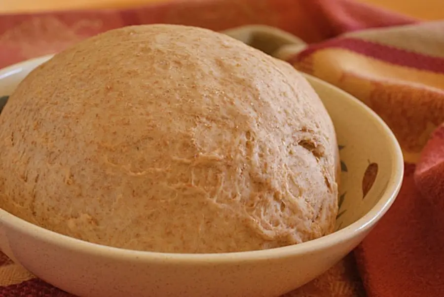 Pizza integrale Bimby