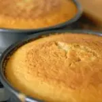 Pan di spagna senza glutine