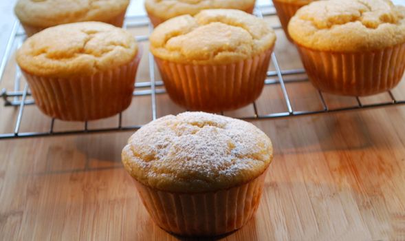 Muffin allo yogurt Bimby
