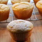 Muffin allo yogurt Bimby