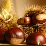 Biscotti di Castagne con Glassa al Cioccolato Bimby
