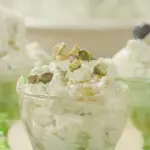 Crema di Ricotta e pistacchi bimby