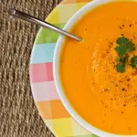 Vellutata di carote all'arancia Bimby tm5