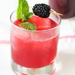 Aperitivo all'anguria Bimby